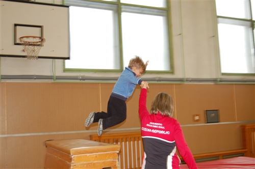 Obrázek v galerii